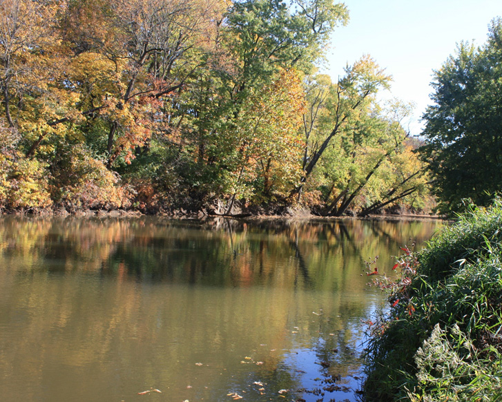 Tranquil autumn scene: a calm river gently mirrors the warm hues of the changing leaves on its banks under a clear sky.