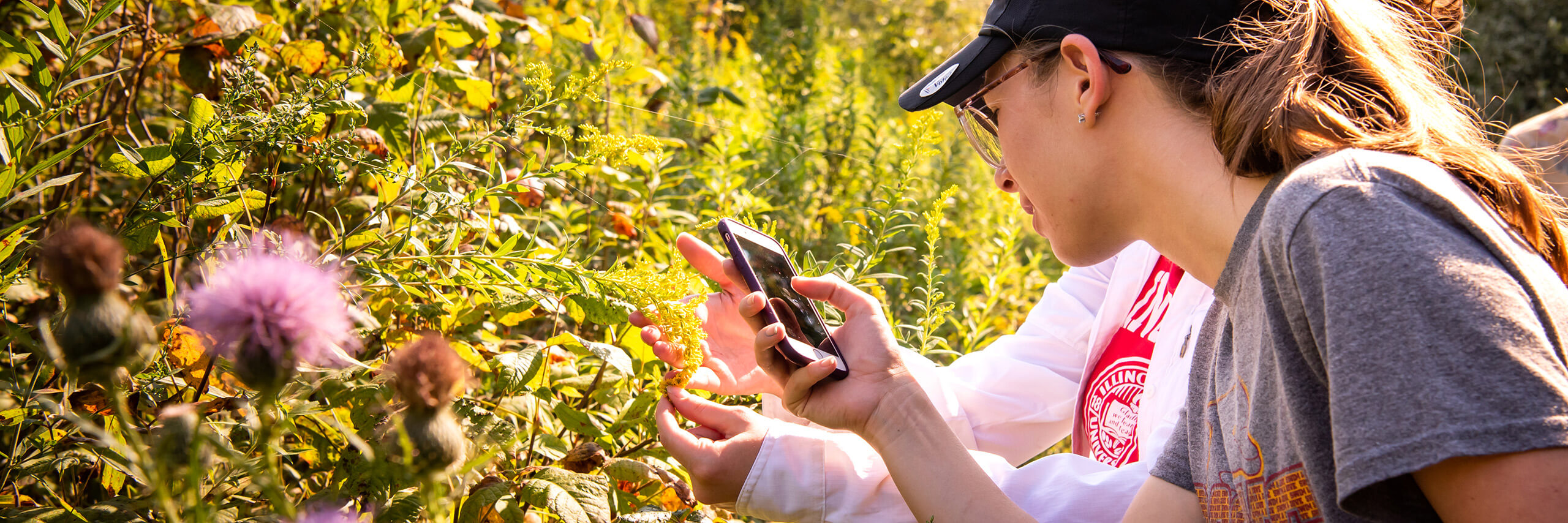 Students taking photo of a plant in a field