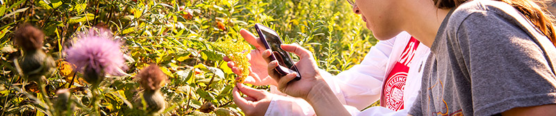 Students taking photo of a plant in a field.
