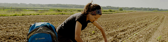 Woman inspecting crops in a field