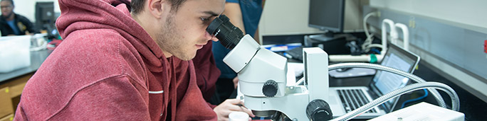 A student in a lab analyzing under a microscope.