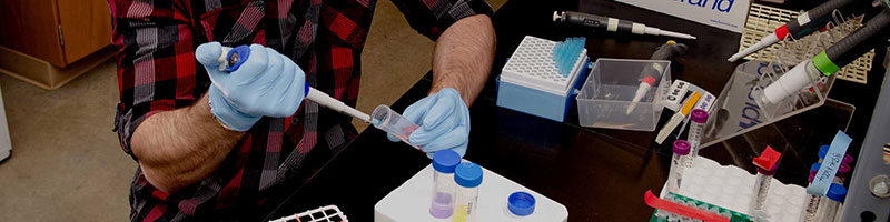 A man wearing lab gloves is diligently working on a project in a scientific laboratory.