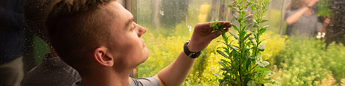 A man observing plants in a glass tank.