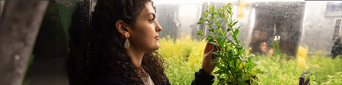 Woman observing plant in glass case.