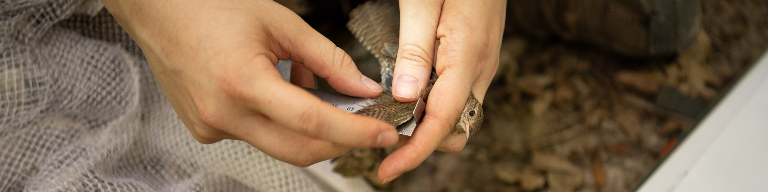 A person holding a bird.