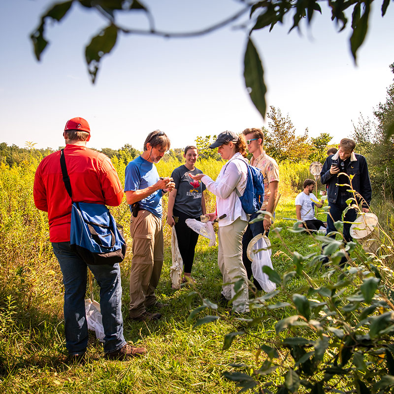 Group of people conducting fieldwork in a grassy outdoor area with butterfly nets and jars.